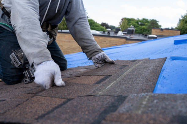 Gutter Installation and Roofing in Westville, IN